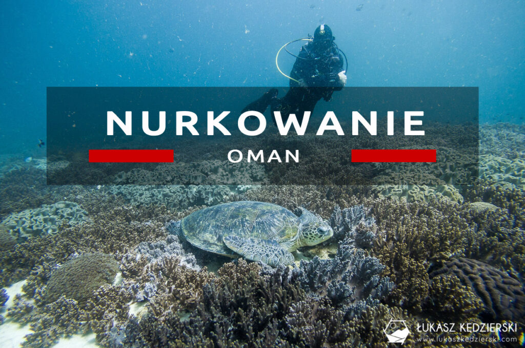 nurkowanie w omanie oman diving as sifah extra divers sifah