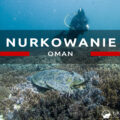 nurkowanie w omanie oman diving as sifah extra divers sifah