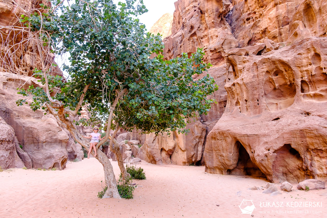 jordania atrakcje wadi rum abu khashaba canyon