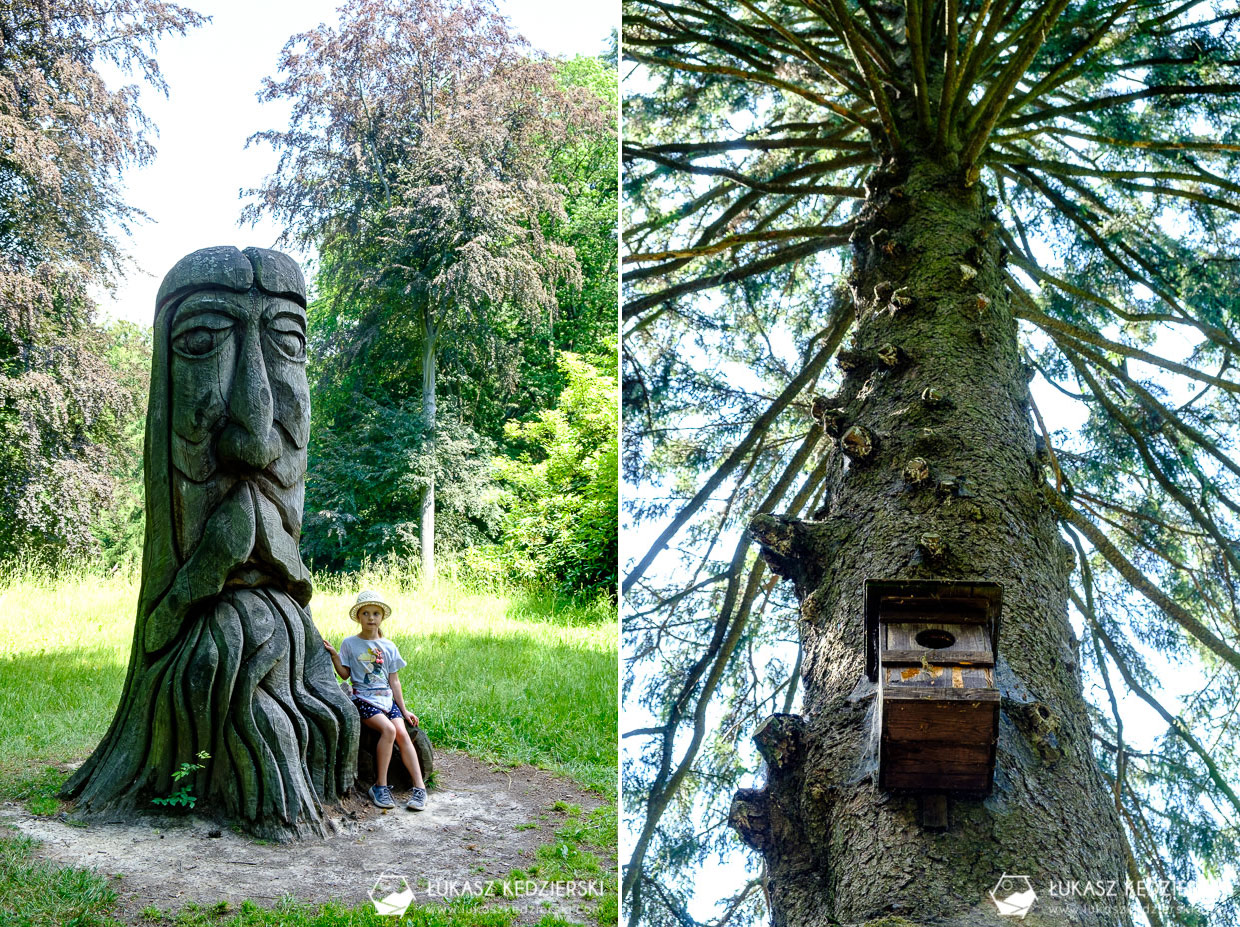 czeski raj arboretum bukovina Hruboskalsko