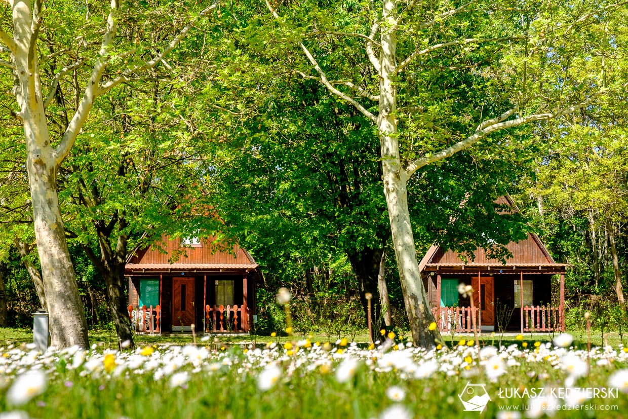 noclegi na węgrzech balaton camping nocleg nad balatonem kemping nad balatonem delta camping