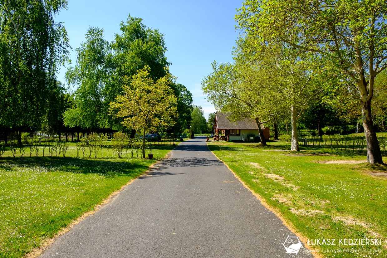 noclegi na węgrzech balaton camping nocleg nad balatonem kemping nad balatonem delta camping