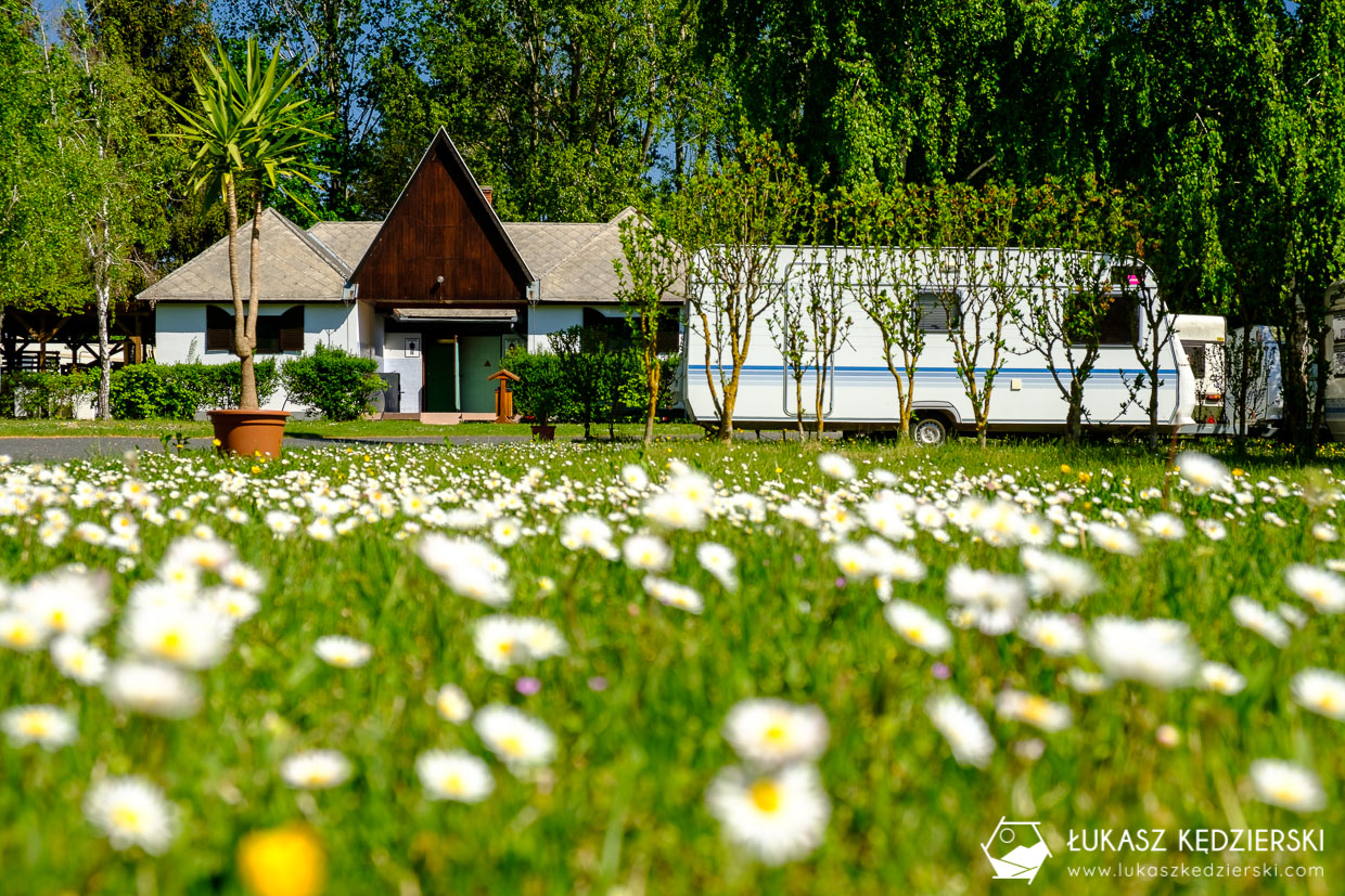 noclegi na węgrzech balaton camping nocleg nad balatonem kemping nad balatonem delta camping