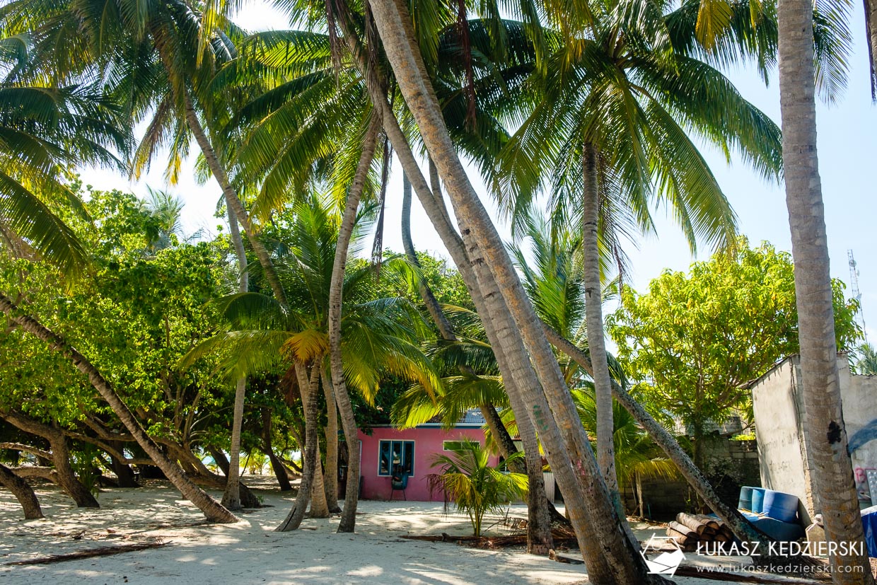 malediwy fulidhoo wyspa tropikalna wyspa lokalna wyspa na malediwach