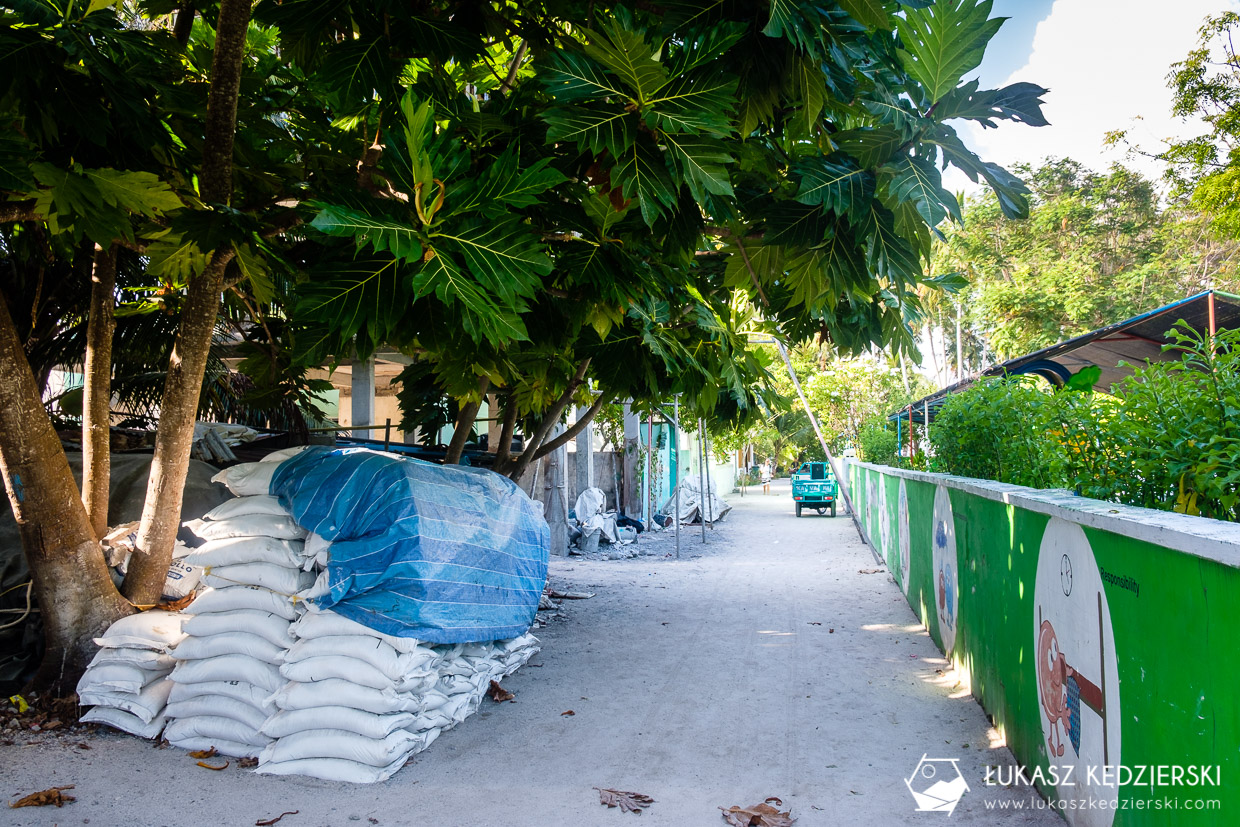 malediwy fulidhoo wyspa tropikalna wyspa lokalna wyspa na malediwach