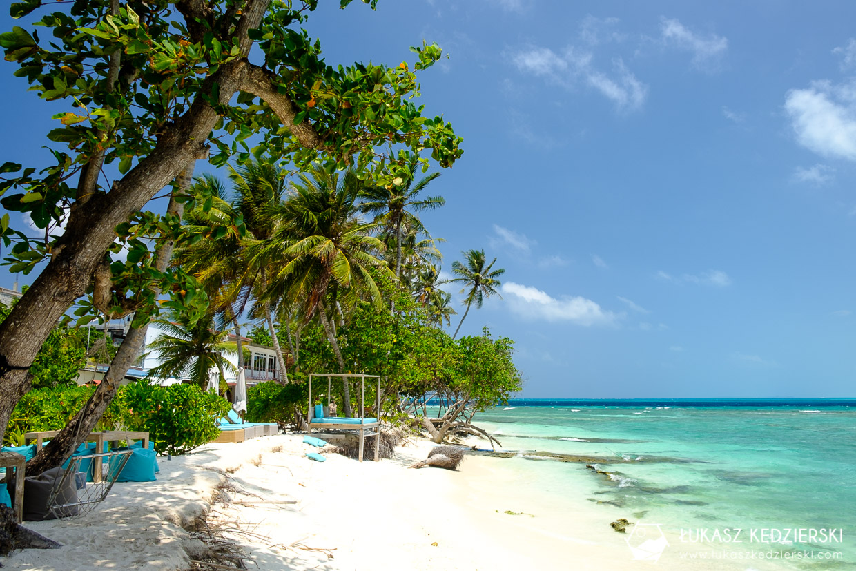 malediwy thulusdhoo lokalna wyspa plaża bikini beach