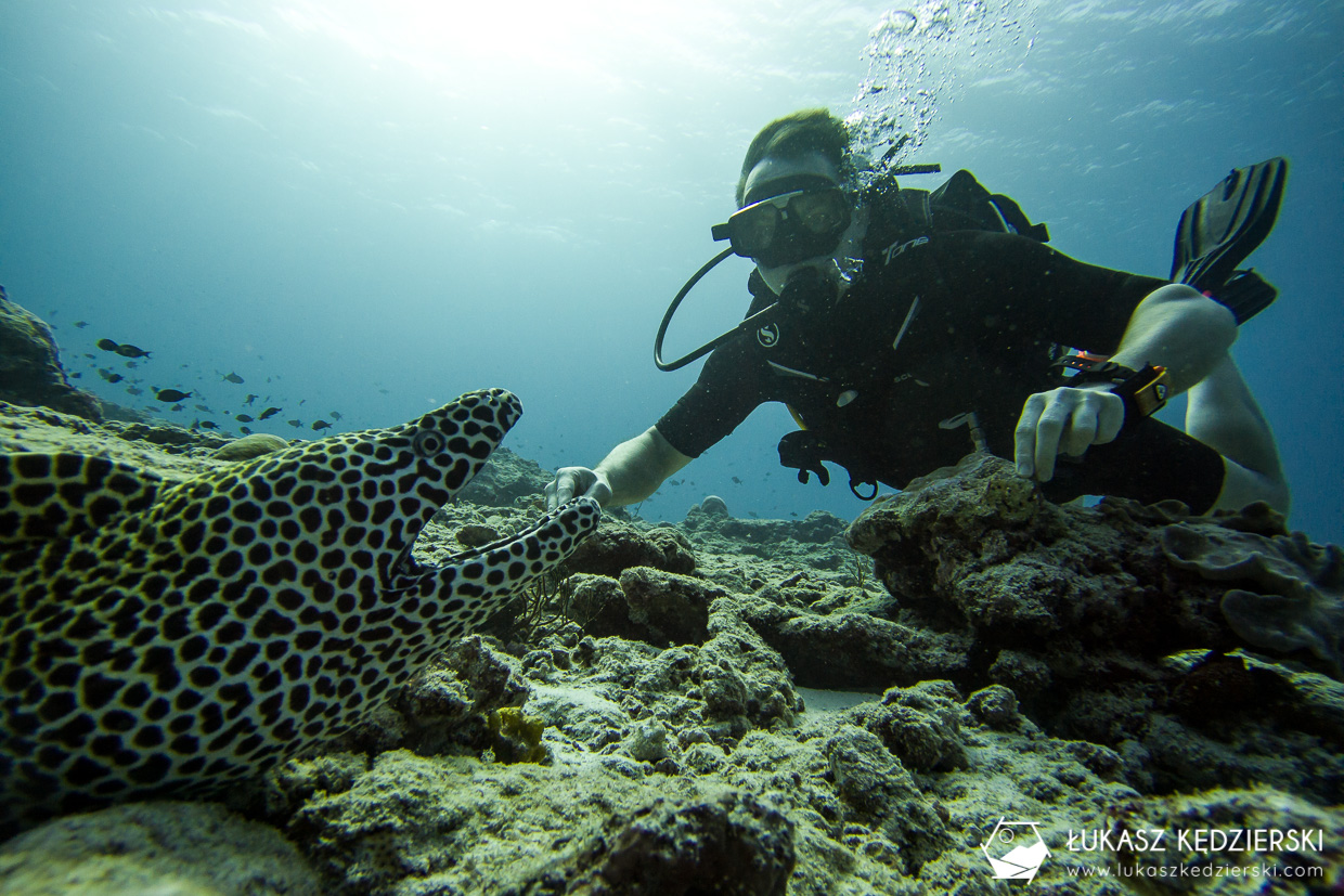 nurkowanie na malediwach thulusdhoo diving murena