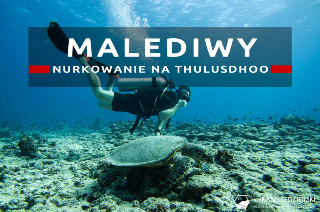 nurkowanie na malediwach thulusdhoo diving