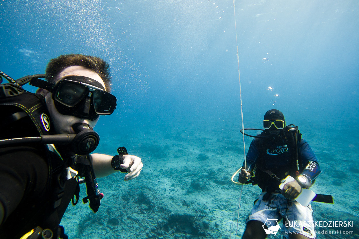 nurkowanie na malediwach thulusdhoo diving