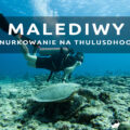 nurkowanie na malediwach thulusdhoo diving