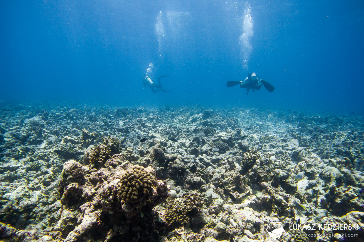 nurkowanie na malediwach thulusdhoo diving