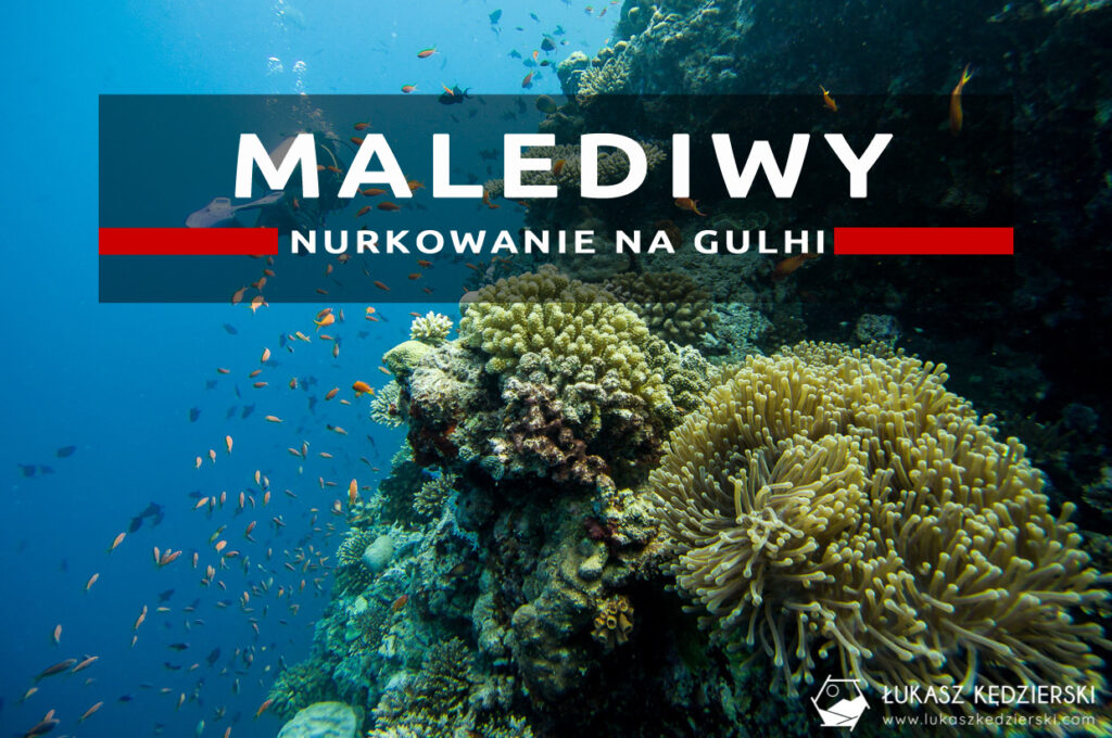 malediwy nurkowanie gulhi nurkowanie na malediwach