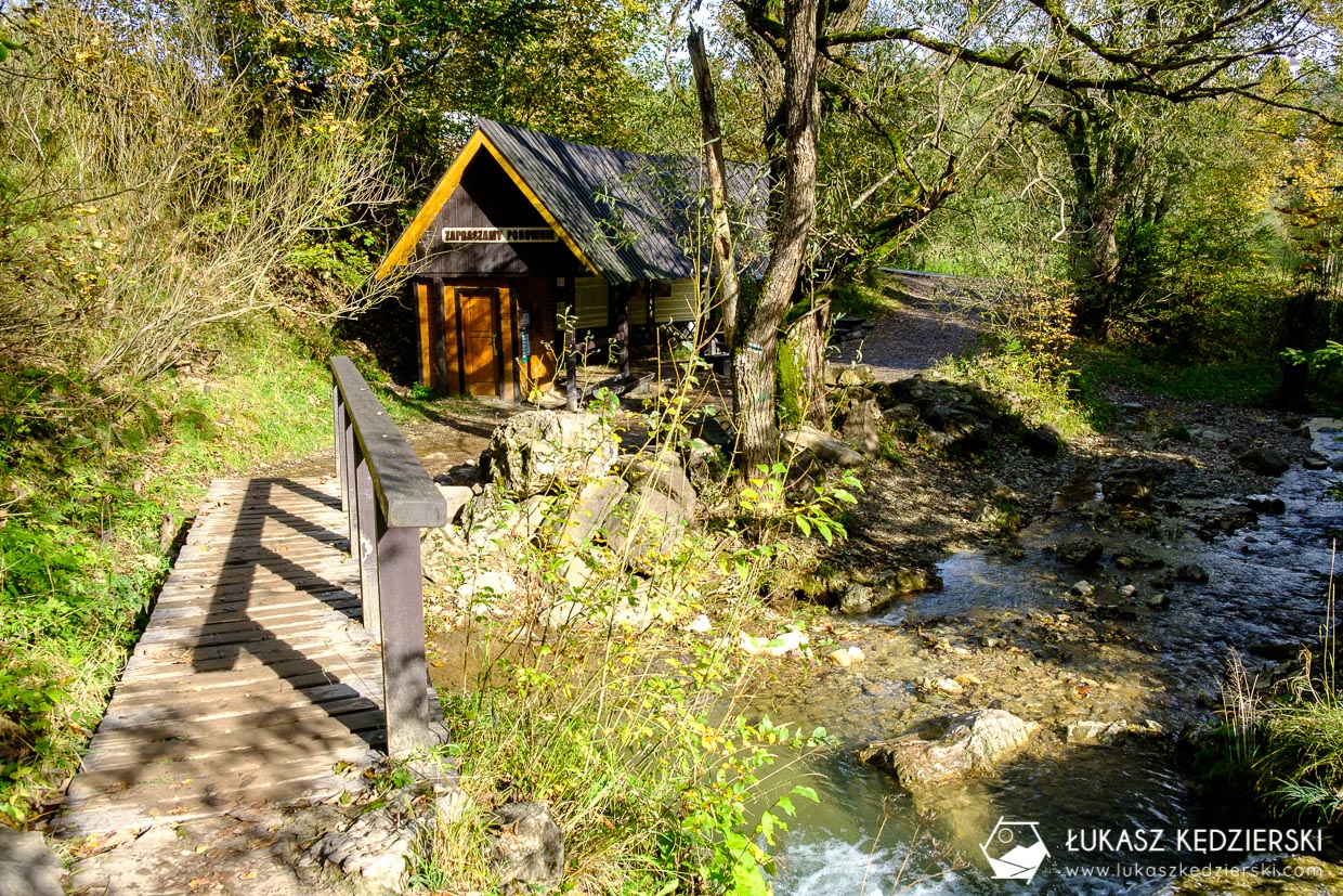 pieniny szlak wąwóz homole kgp korona gór polski