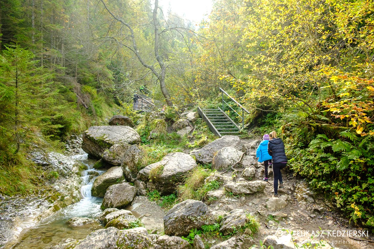 pieniny szlak wąwóz homole kgp korona gór polski