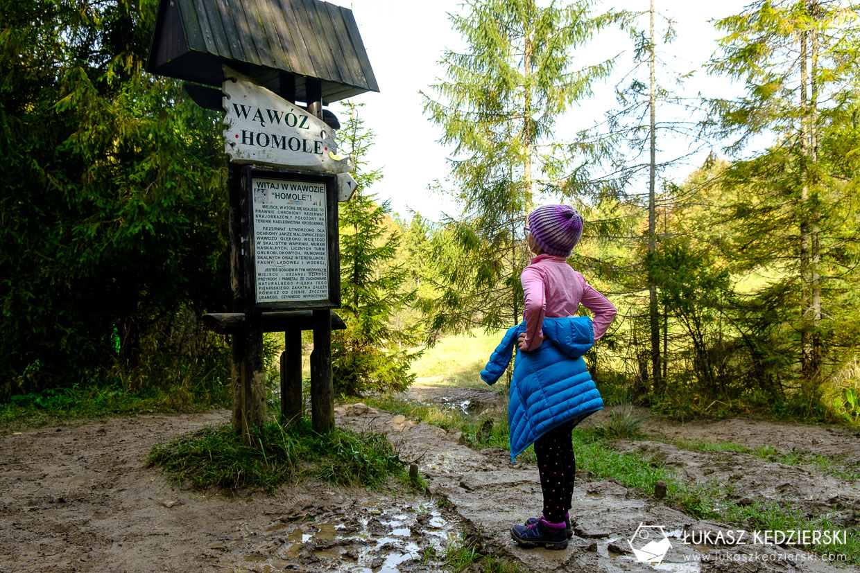 pieniny szlak wąwóz homole kgp korona gór polski