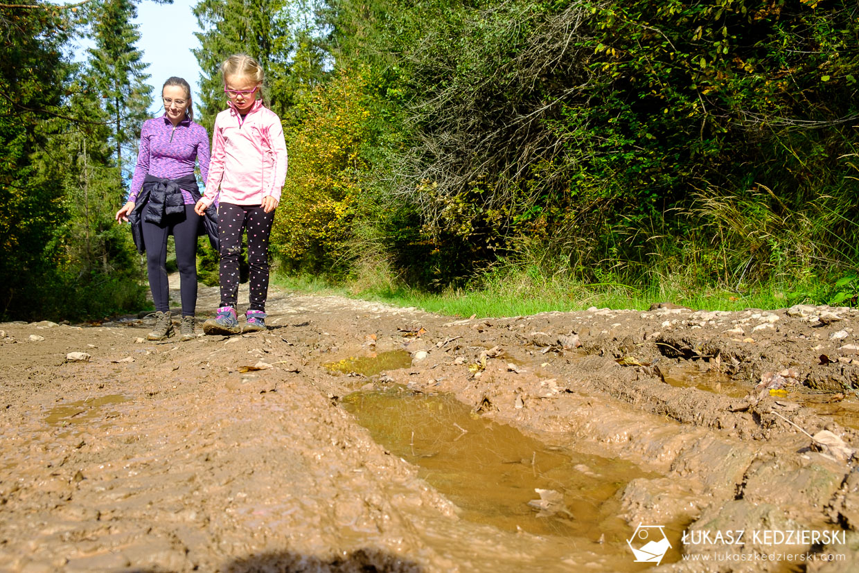 pieniny wysoka szlak wysokie skałki kgp korona gór polski