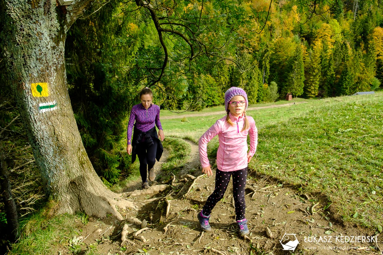 pieniny wysoka szlak wysokie skałki kgp korona gór polski