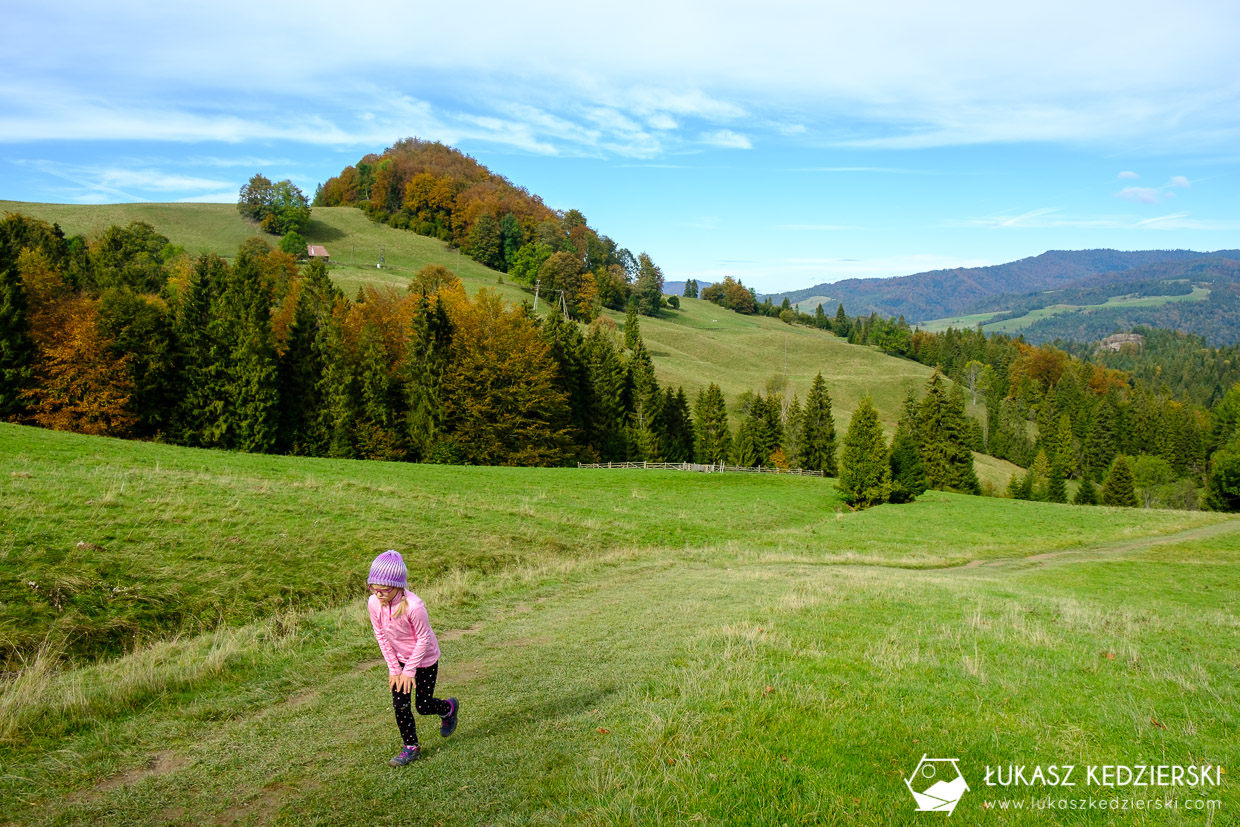 pieniny wysoka szlak wysokie skałki kgp korona gór polski