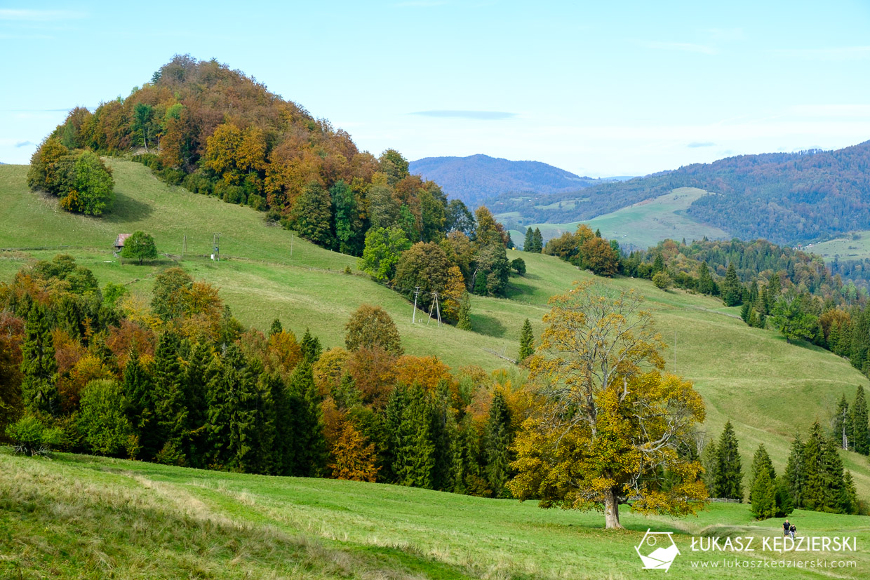 pieniny wysoka szlak wysokie skałki kgp korona gór polski