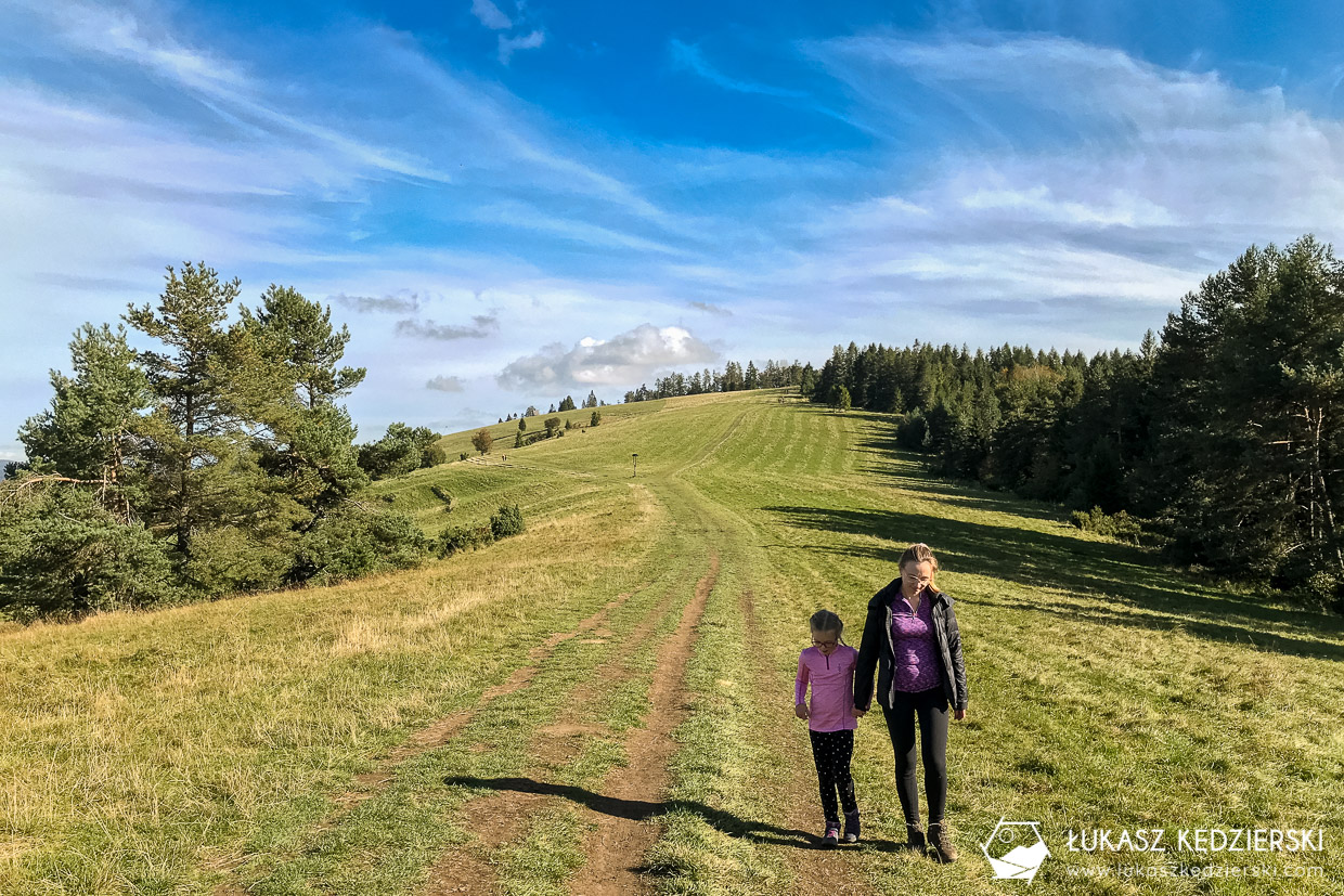 pieniny wysoka szlak wysokie skałki kgp korona gór polski