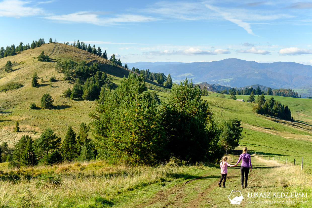 pieniny wysoka szlak wysokie skałki kgp korona gór polski