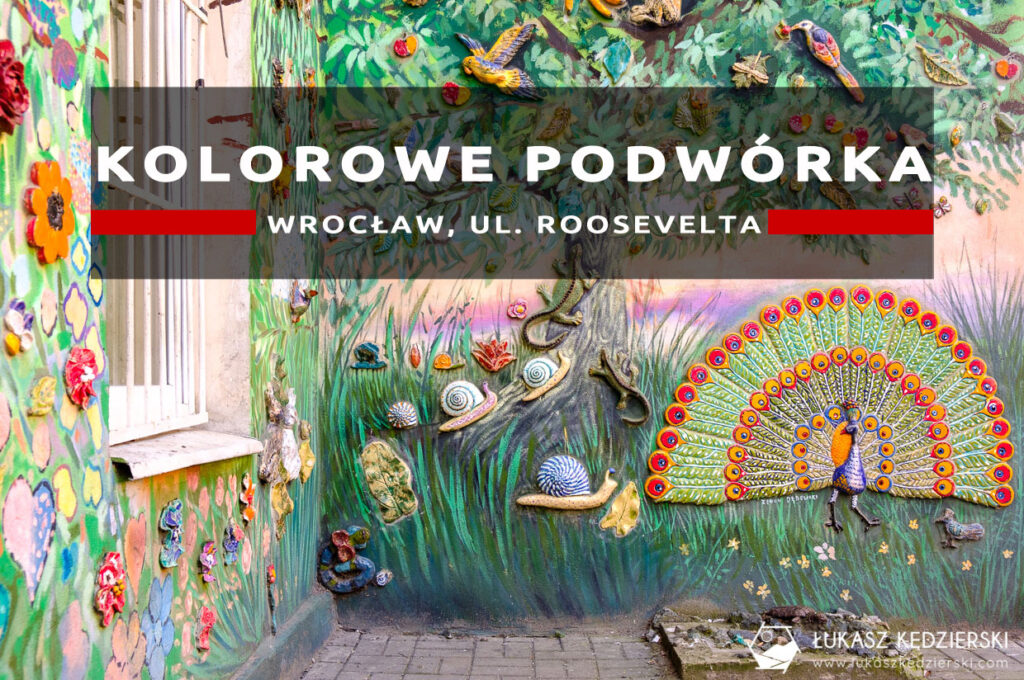 wrocław kolorowe podwórka nadodrze roosevelta