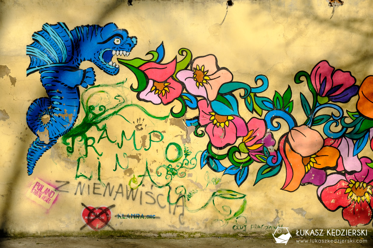 wrocław nadodrze rydygiera mural atrakcje wrocławia
