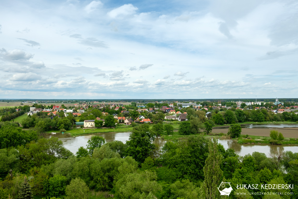 kotowice wieża widokowa wieża w kotowicach siechnice