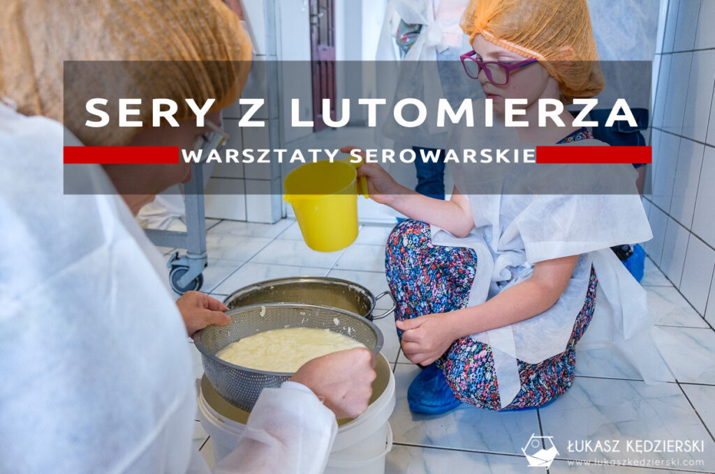 sery z lutomierza warsztaty serowarskie dolny śląsk