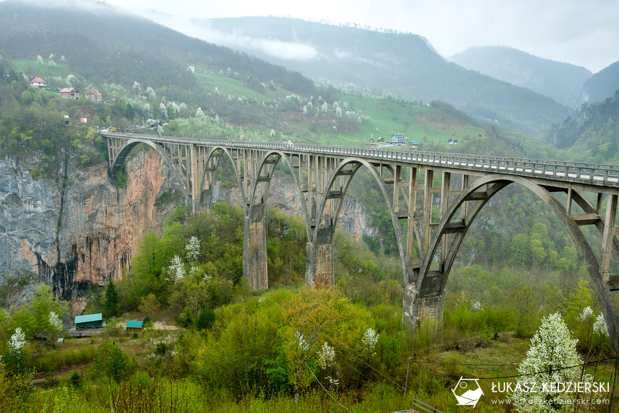 atrakcje czarnogóry czarnogóra montenegro tara bridge most tara