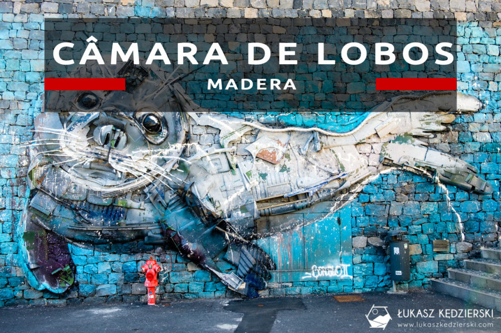 madera Câmara de Lobos camara de lobos Arturo Bordalo lew morski