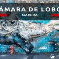 madera Câmara de Lobos camara de lobos Arturo Bordalo lew morski