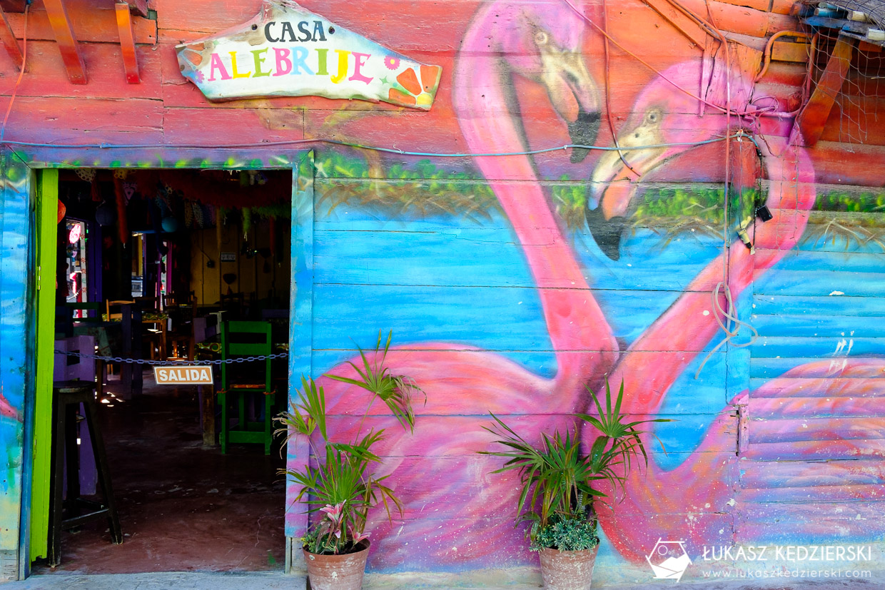 meksyk holbox mural street art