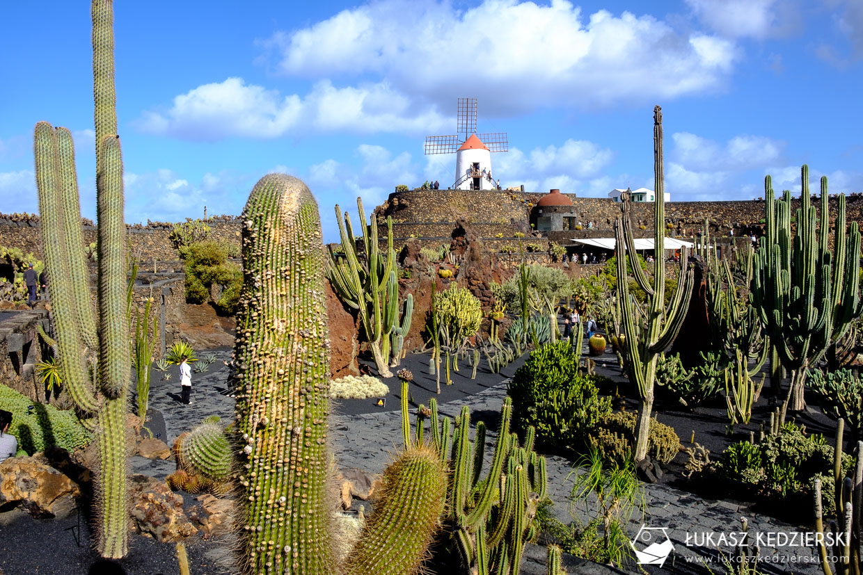 lanzarote jardin de cactus wyspy kanaryjskie ogród kaktus