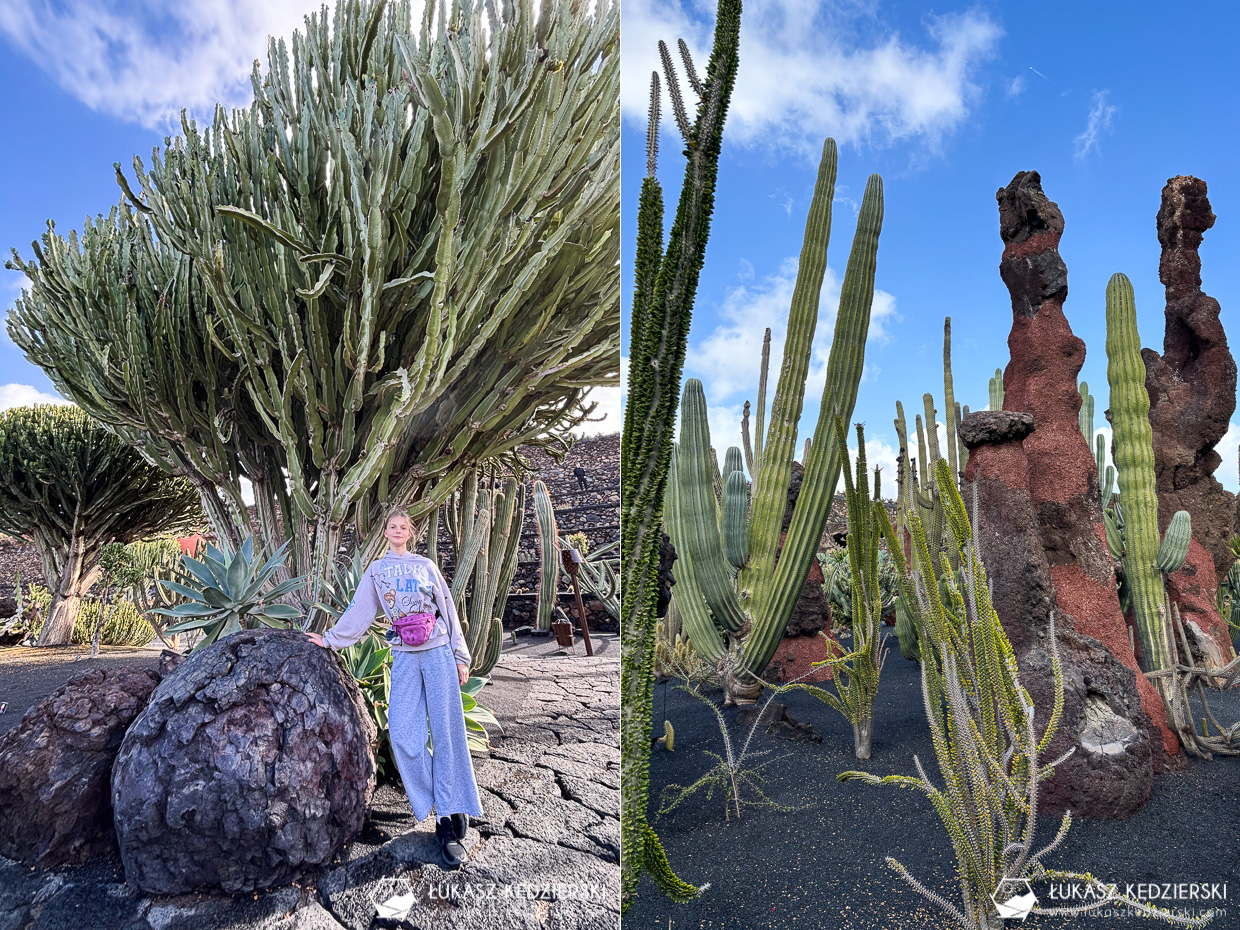 lanzarote jardin de cactus wyspy kanaryjskie ogród kaktus