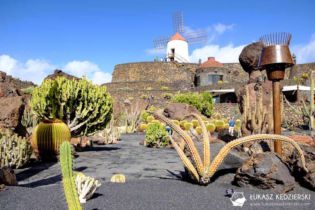 lanzarote jardin de cactus wyspy kanaryjskie ogród kaktus
