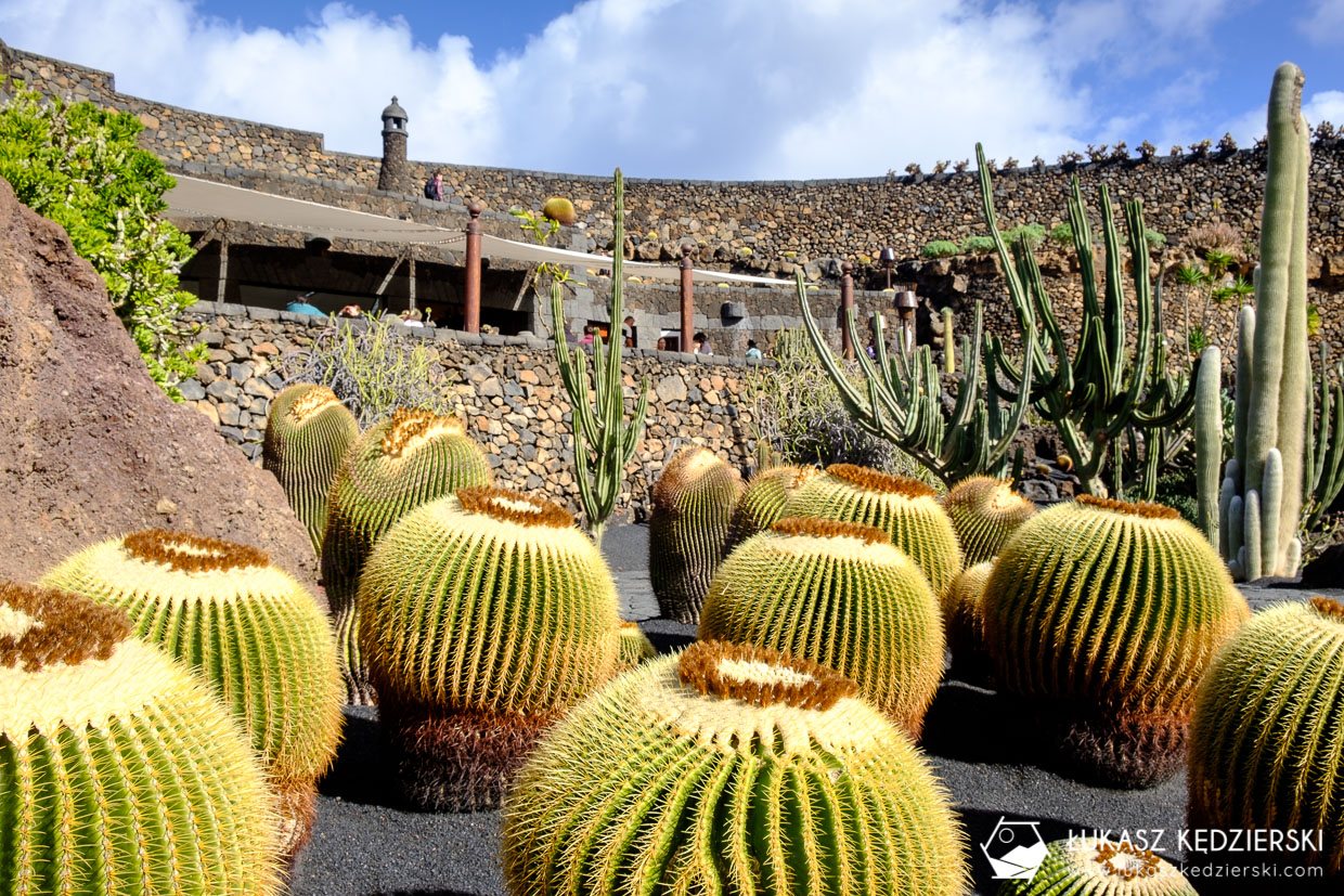 lanzarote jardin de cactus wyspy kanaryjskie ogród kaktus