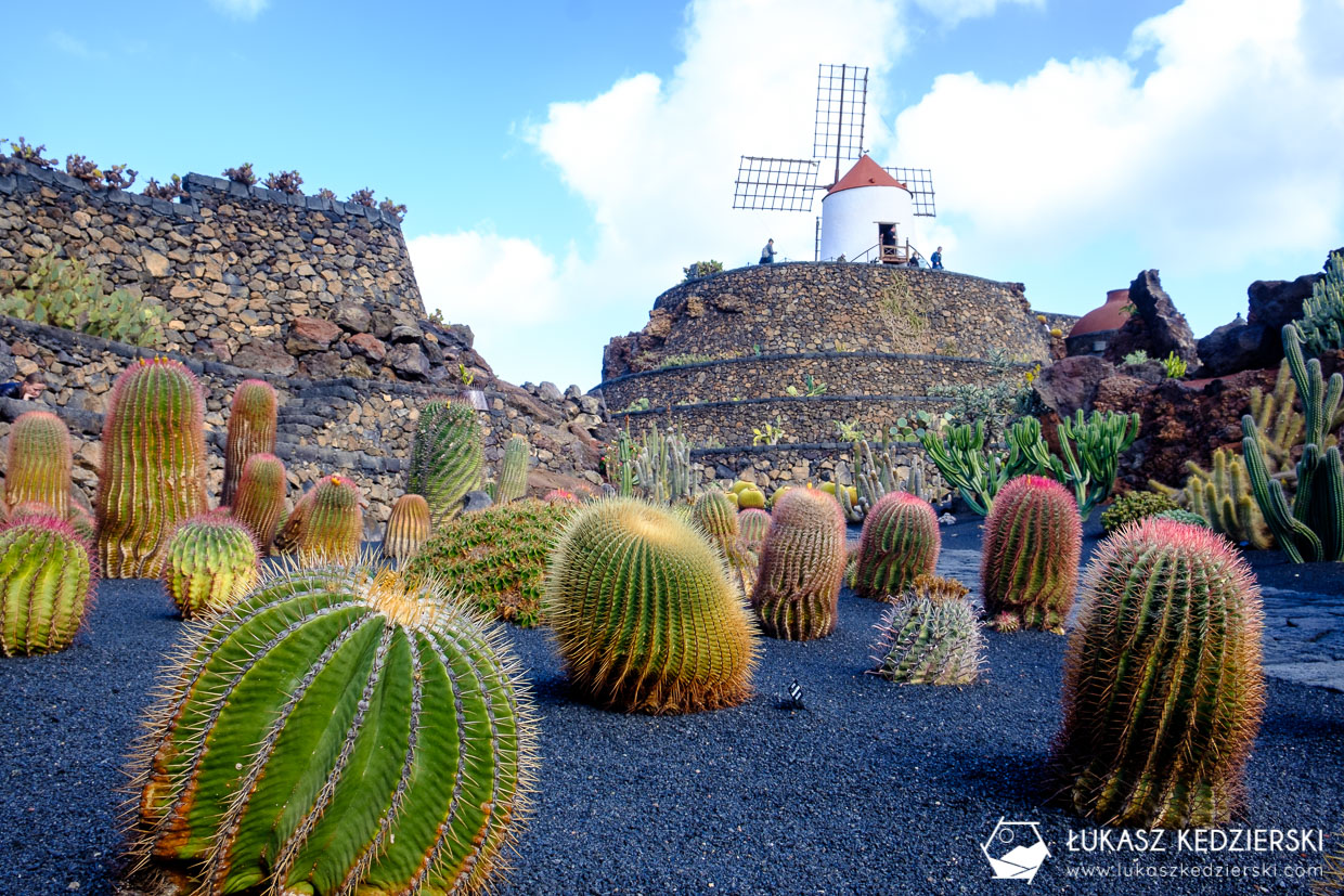lanzarote jardin de cactus wyspy kanaryjskie ogród kaktus