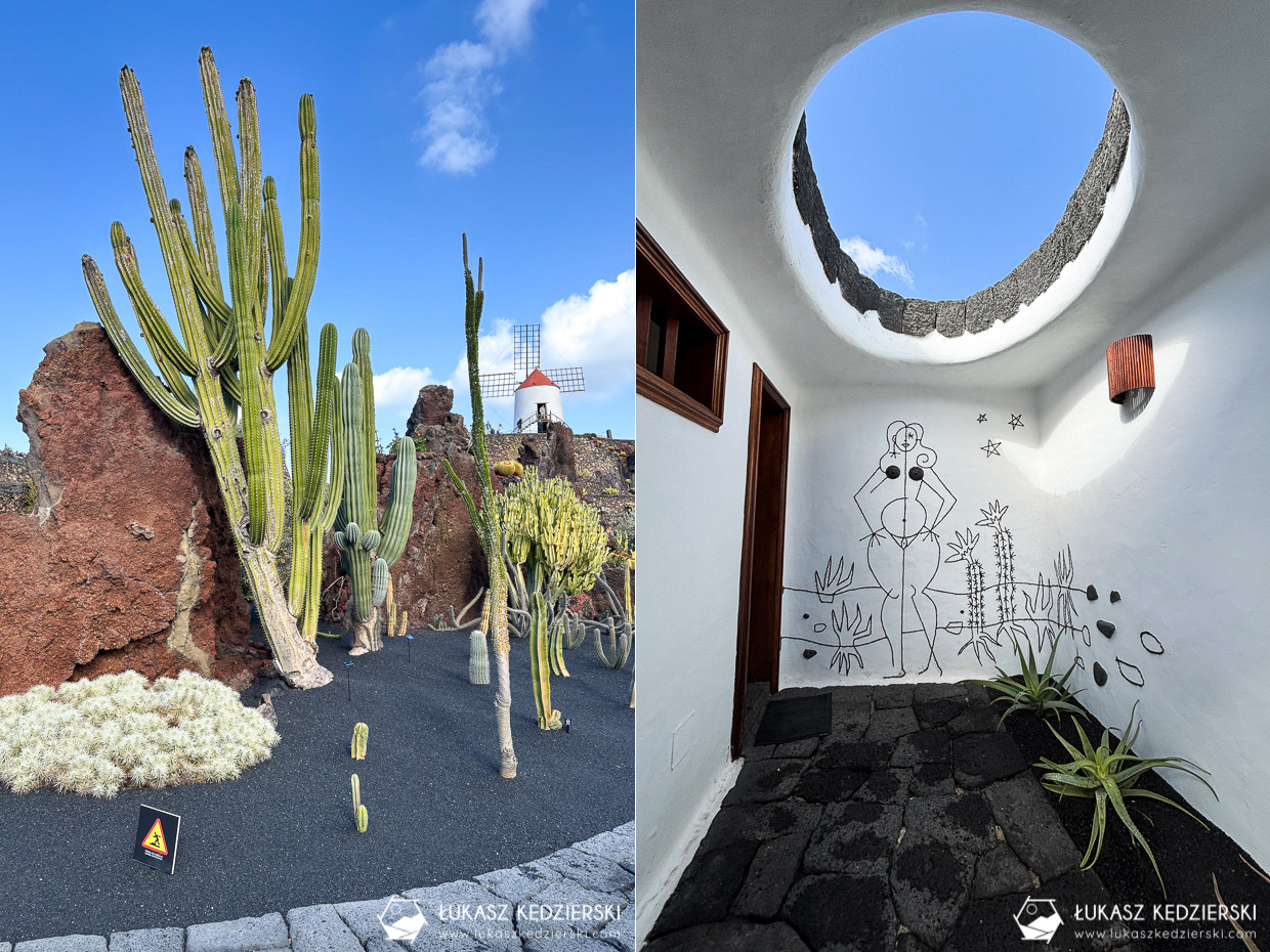 lanzarote jardin de cactus wyspy kanaryjskie ogród kaktus