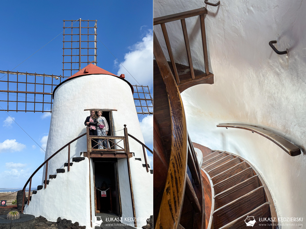 lanzarote jardin de cactus wyspy kanaryjskie ogród kaktus