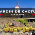lanzarote jardin de cactus wyspy kanaryjskie ogród kaktus