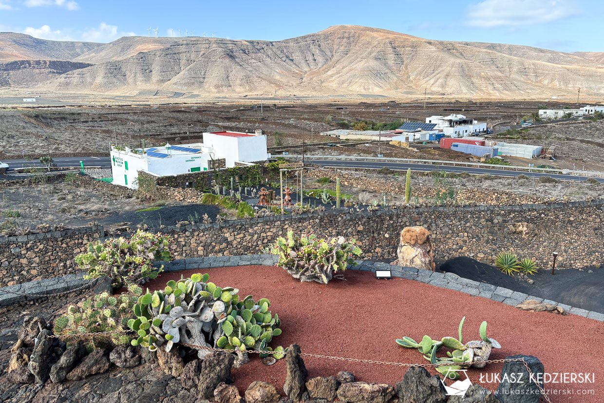 lanzarote jardin de cactus wyspy kanaryjskie ogród kaktus