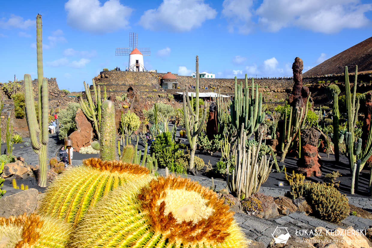 lanzarote jardin de cactus wyspy kanaryjskie ogród kaktus