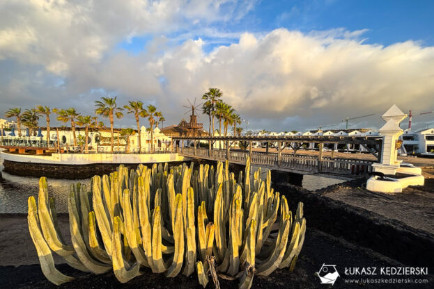 lanzarote wyspy kanaryjskie costa teguise bieganie