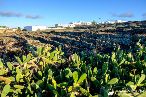 lanzarote wyspy kanaryjskie wulkan de la corona