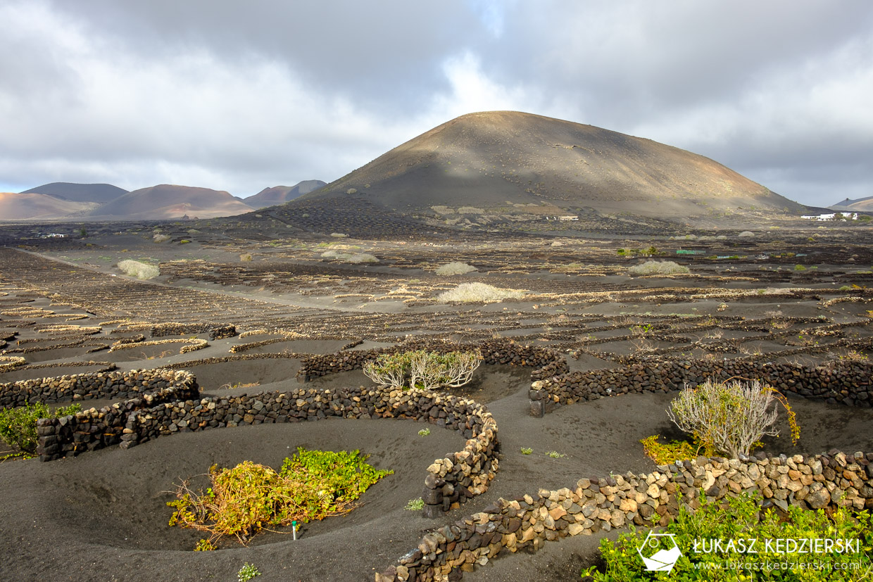 lanzarote plan zwiedzania winnice