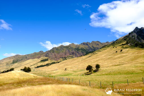 nowa zelandia isthmus peak trail trekking