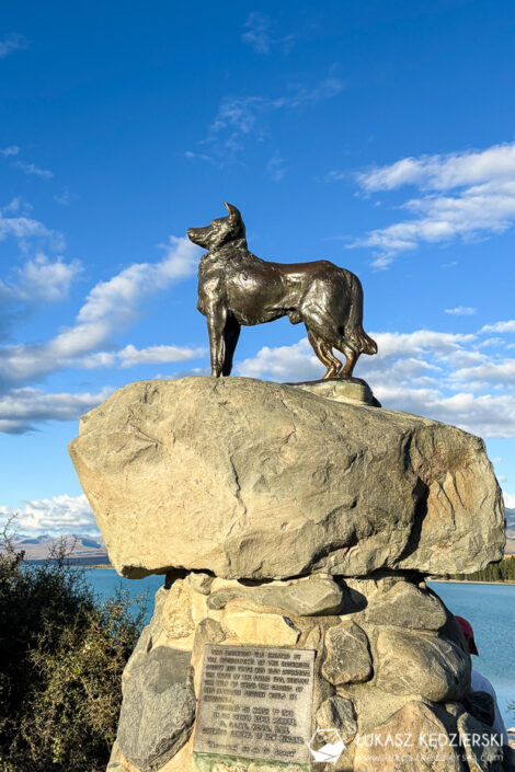nowa zelandia lake tekapo podróż do nowej zelandii