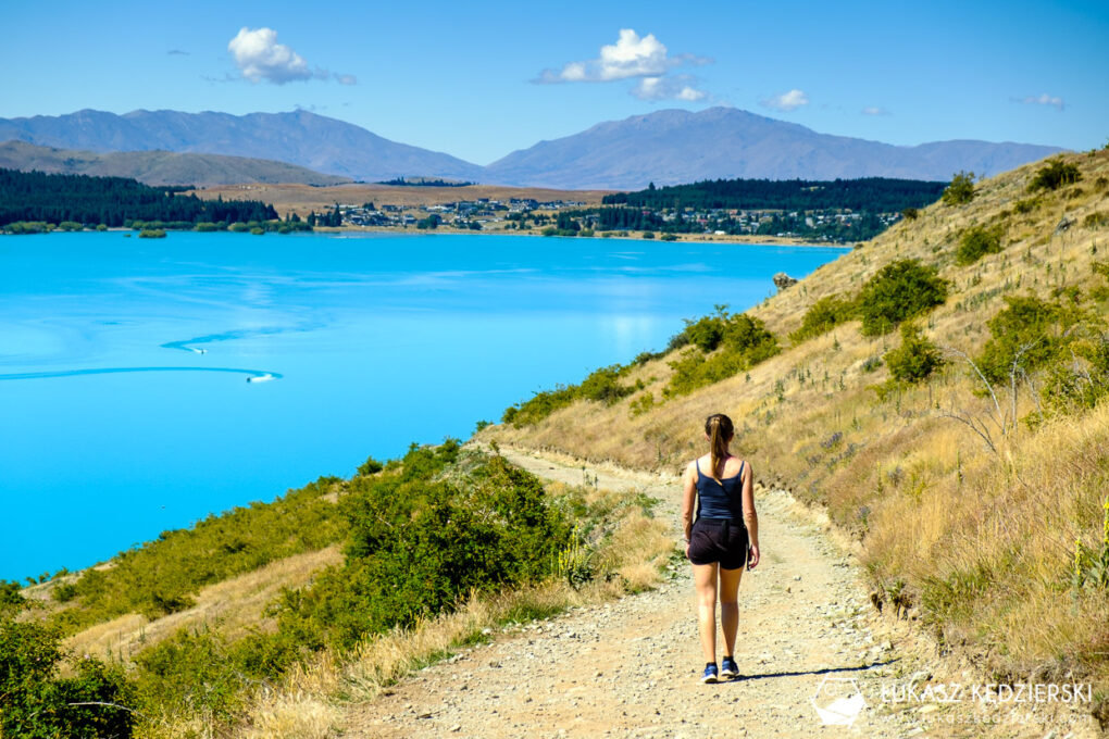 nowa zelandia lake tekapo mt john walkway