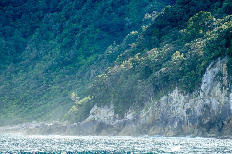 nowa zelandia rejs doubtful sound